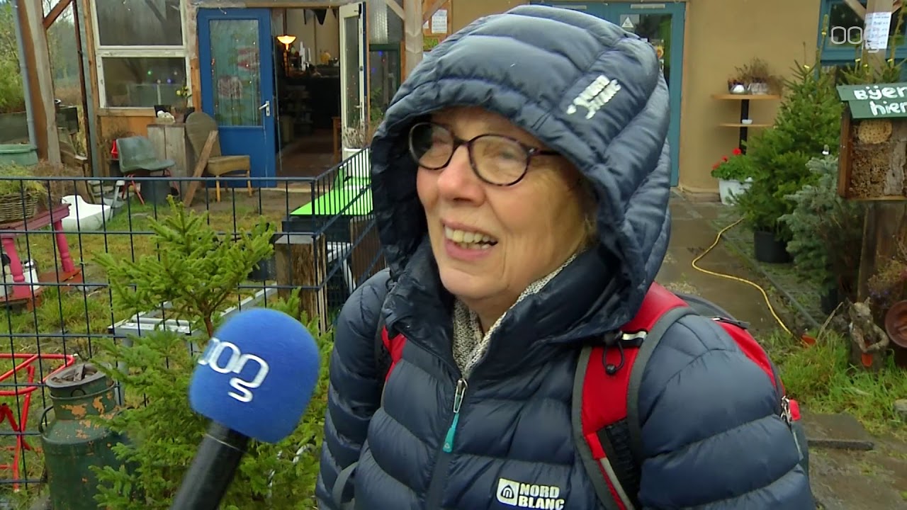 Adopteer een kerstboom bij Tuinindestad