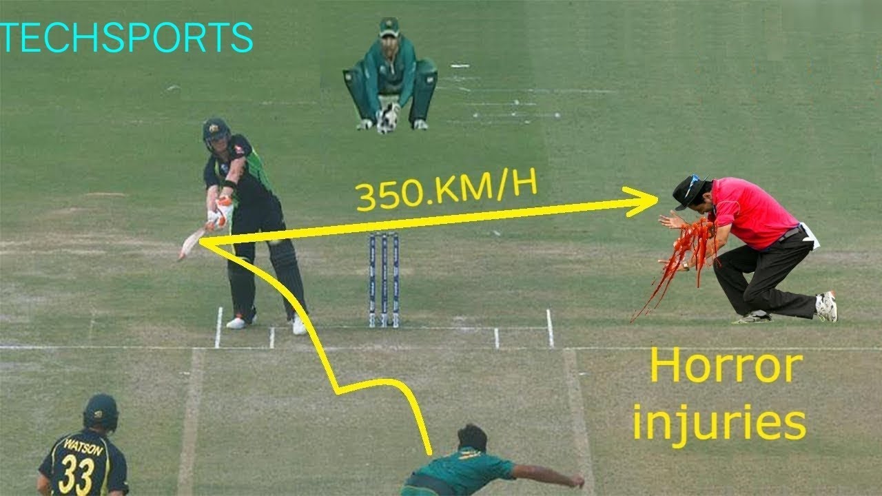 Worst Umpires Hit by Ball in Cricket History | UMPIRE INJURIES | Cricket Umpires Hit By Ball