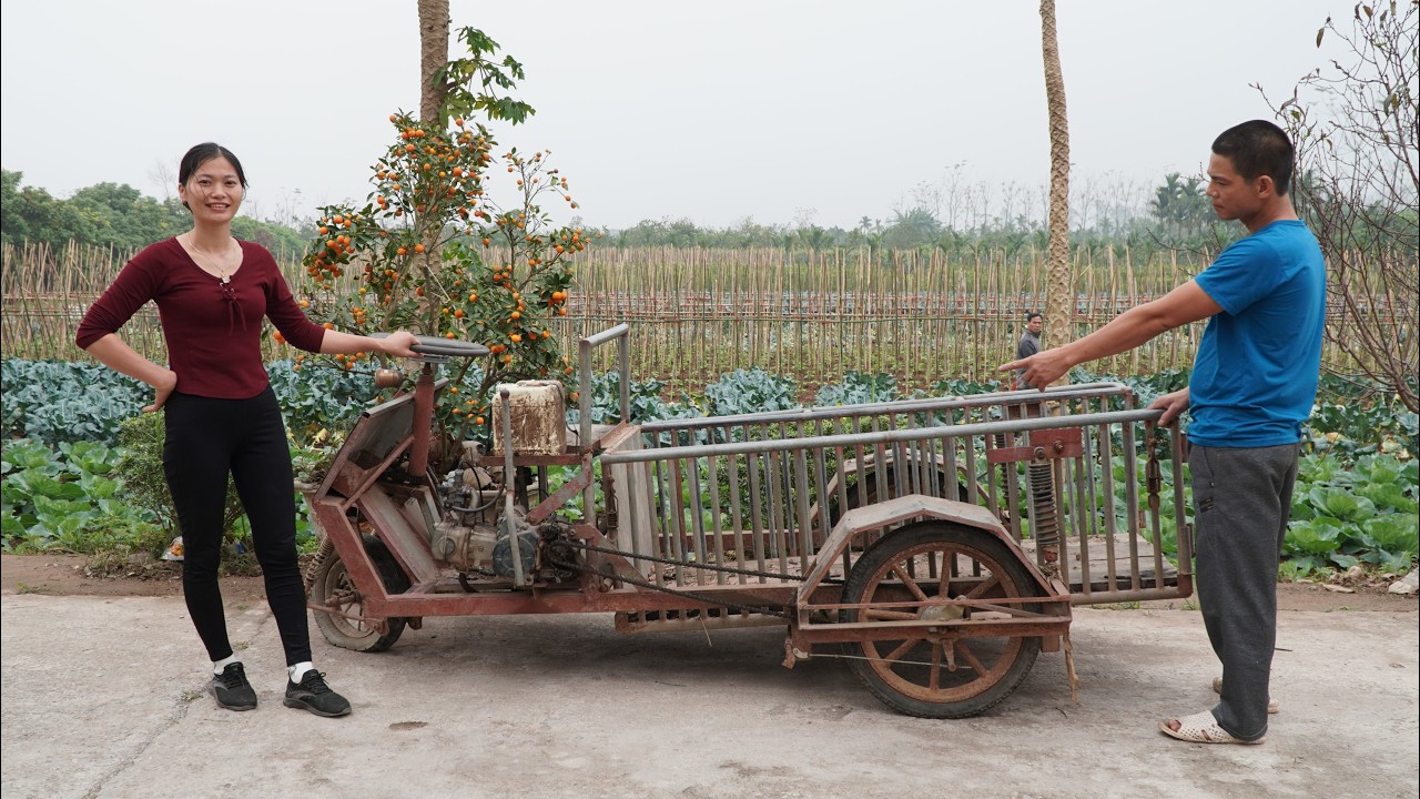 Genius Girl's Challenge: Repair and restart the neighbor's abandoned 10-year-old tricycle🛠🛠🛠