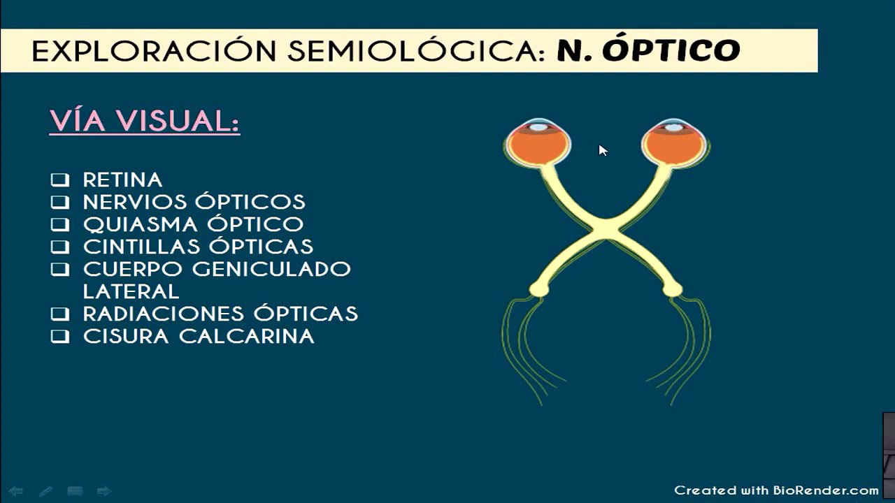 Exploración semiológica del II Nervio Craneal (Óptico)