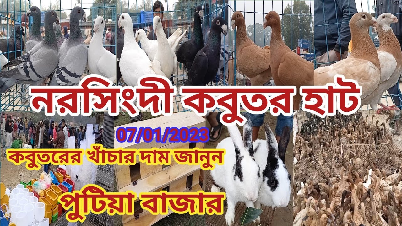 নরসিংদীর সব থেকে বড় কবুতরের হাট পুটিয়া বাজার এই হাটে কবুতর ও হাস মুরগী পাখি খরগোস ইত্যাদি পাওয়া যায়।