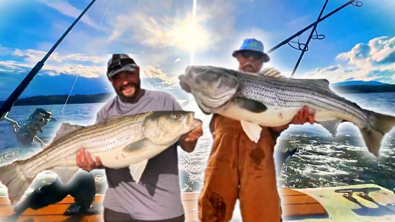GIANT late season STRIPED BASS up to 43 LBS fishing with Captain George Murphy!