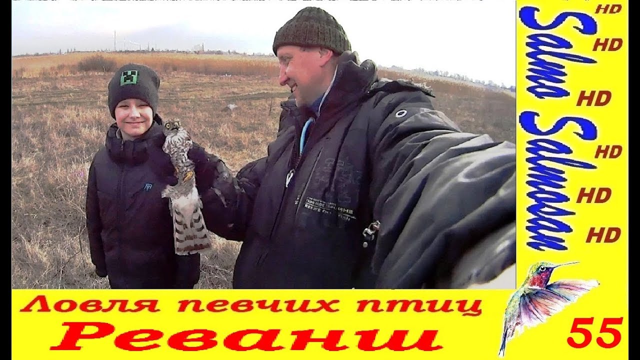 Ловля певчих птиц - Реванш.