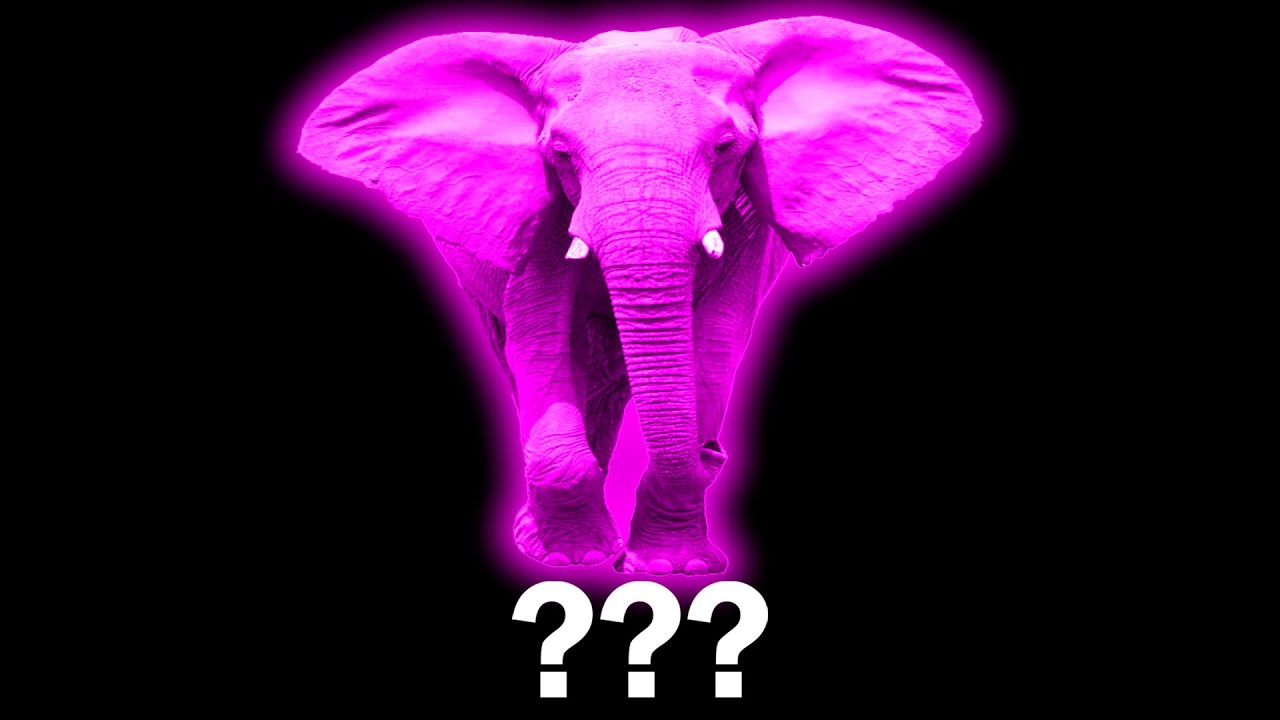 15 Elephant Sound Variations in 30 Seconds