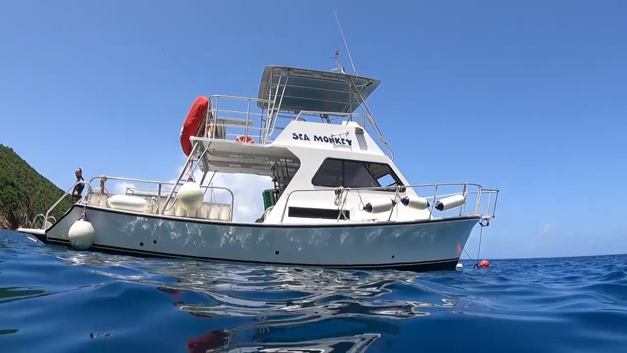 A Diver's View of the BVI