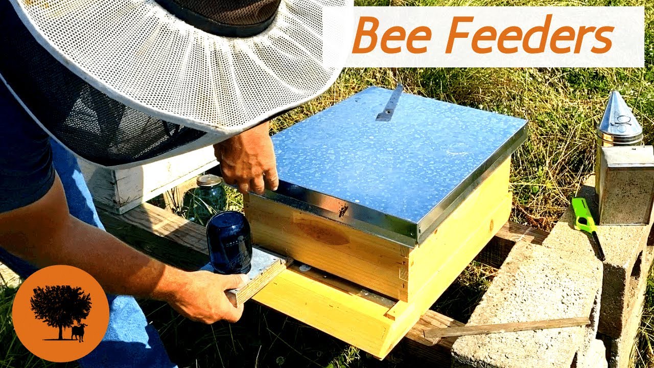 One Week Inspection of Mountain Grey Caucasian Honeybees