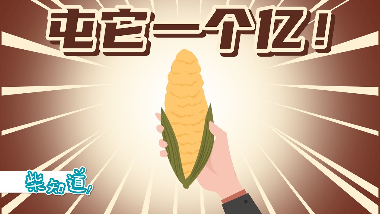 科普：如何为14亿人储备粮食？