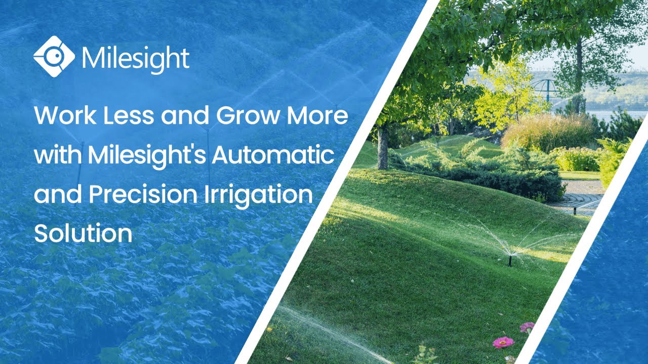 Work Less and Grow More with Milesight Automatic & Precision Irrigation Solution