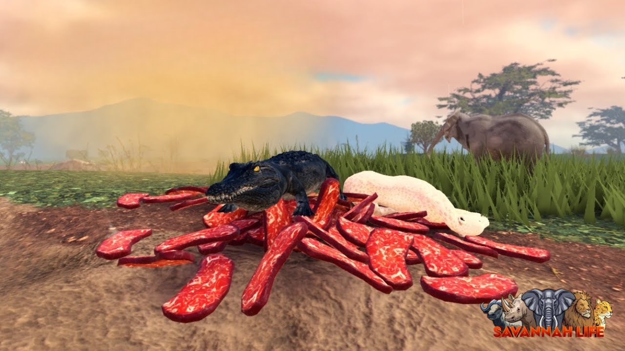This Elephant Party Got OUT OF CONTROL… (I Cleaned It Up )