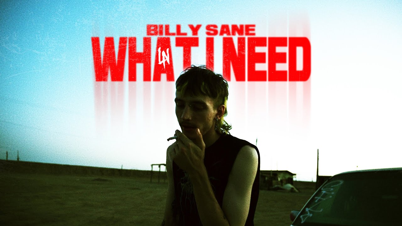 Billy Sane - What I Need (Official Music Video)