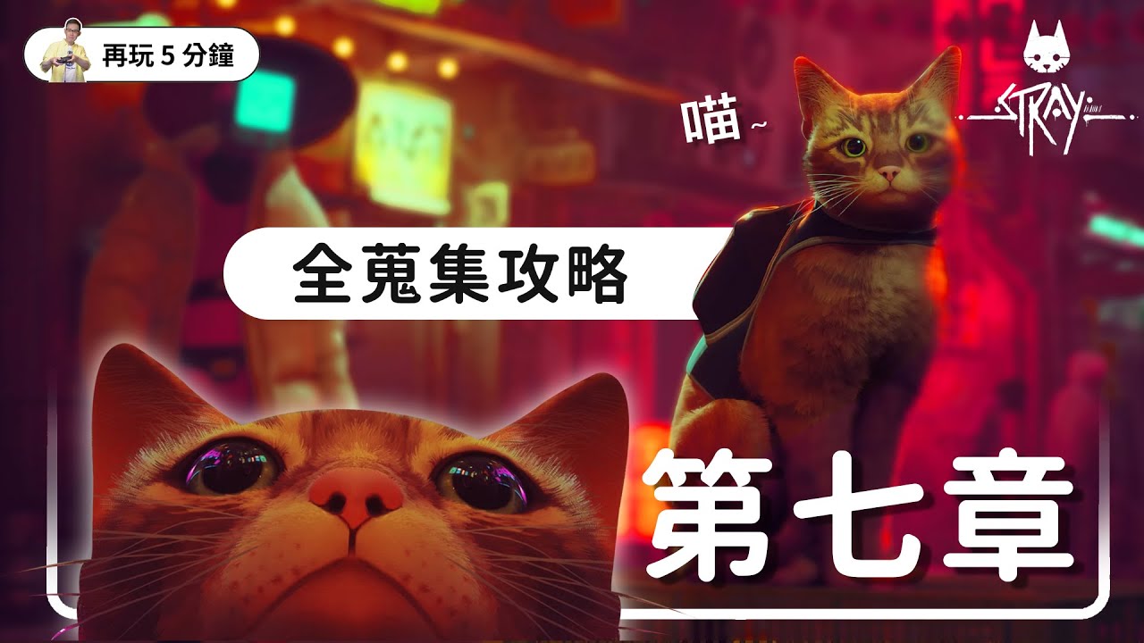 《Stray 浪貓》第七章 死路 主線流程、回想記憶、徽章，全蒐集攻略