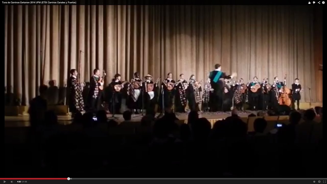 Tuna de Caminos - XXXI Certamen 2014 UPM