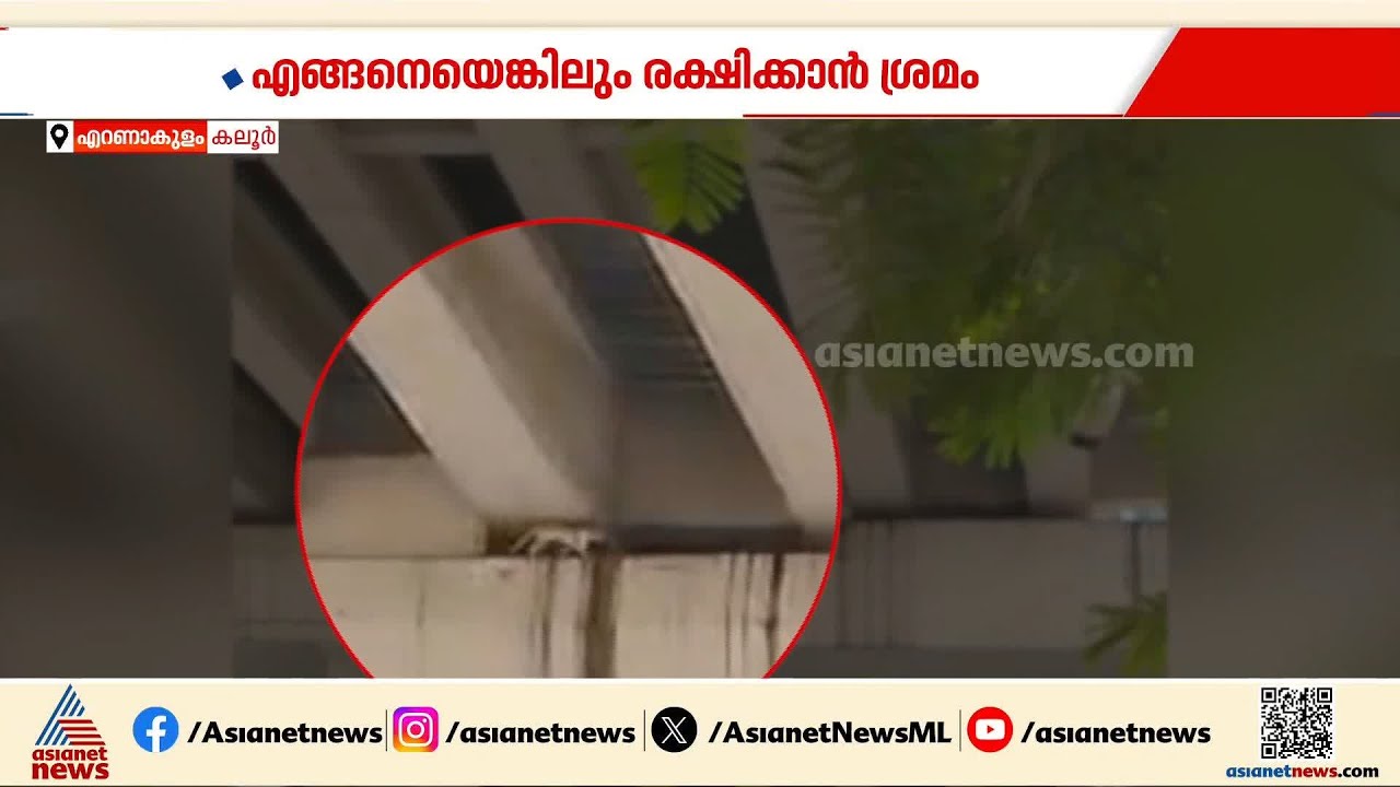 സുഭാഷേ ചാടാട! കൊച്ചി മെട്രോ സ്റ്റേഷന്റെ തൂണിന് മുകളിൽ പുച്ച കുടുങ്ങി