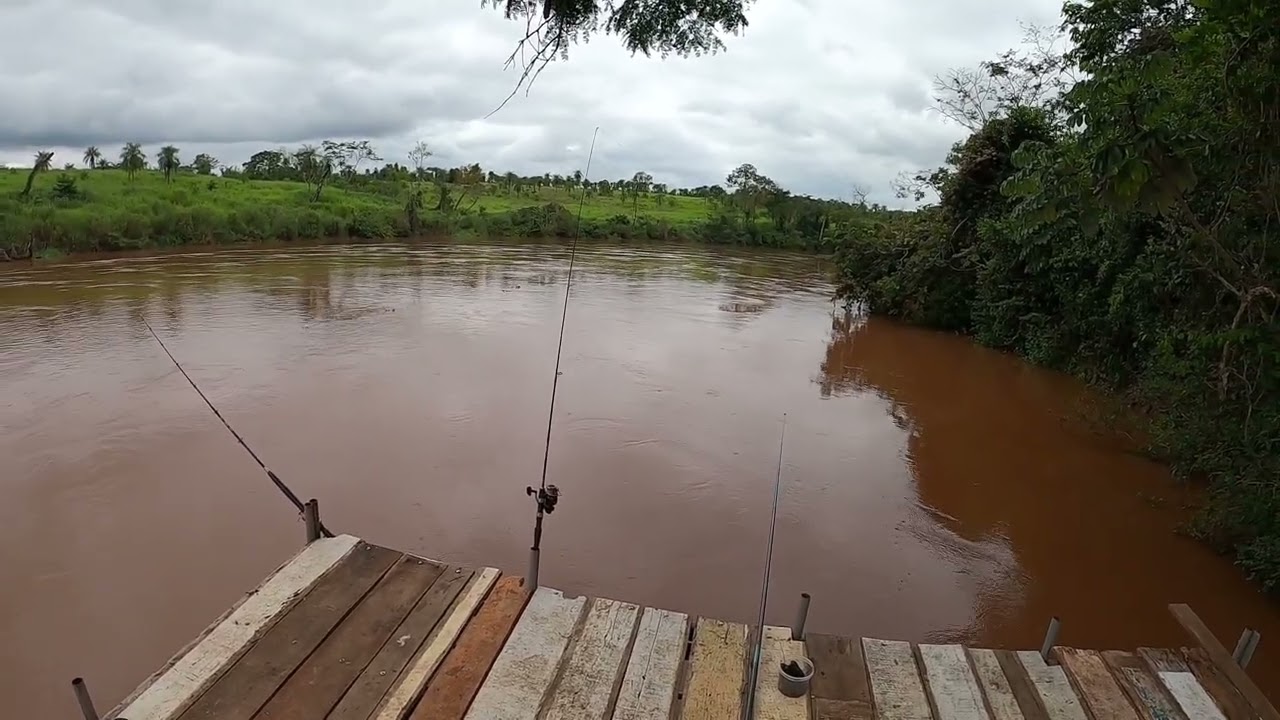 FUI INVENTAR DE DEIXAR A VARA ARMADA 