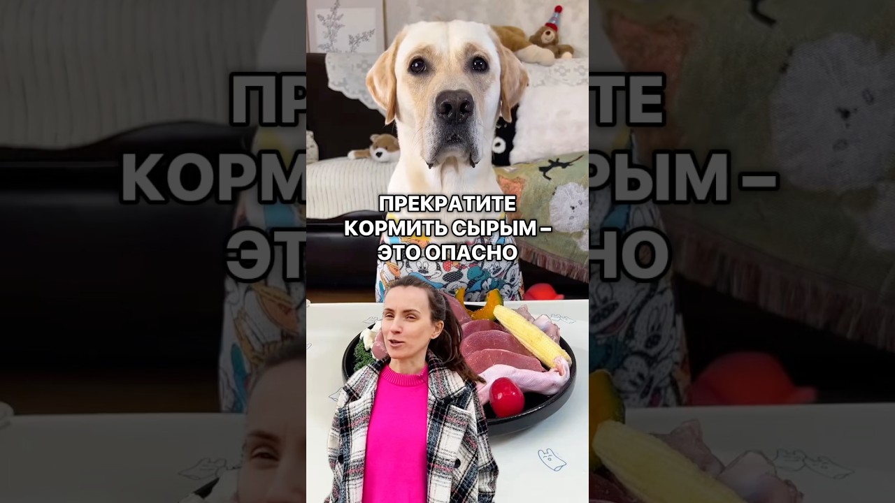 📍 Возьми эти курсы &mdash; не делай ошибок 80% владельцев. Доступ свободный по ссылке в bio профиля