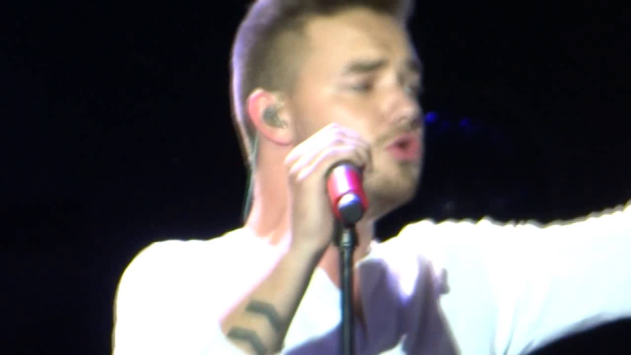 One Direction - Metlife Stadium - Liam - 18