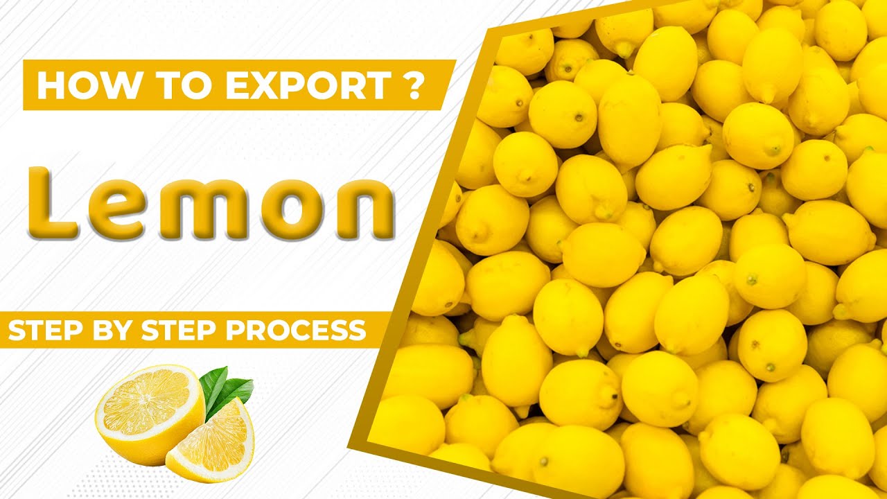 How to Export Lemon A to Z information | Lemon Export Import Business | by Paresh Solanki