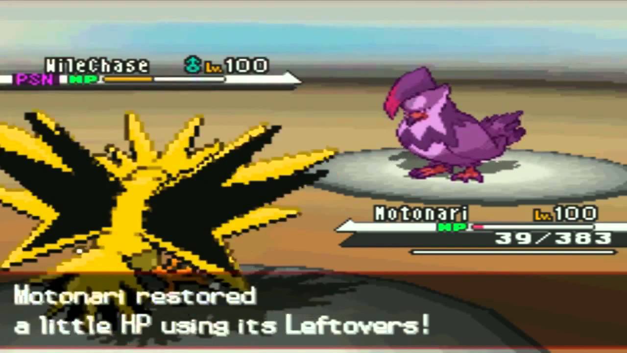 PokeMoshPit Battle #230: WileChase vs paintballrulzzzzz [5th Gen]