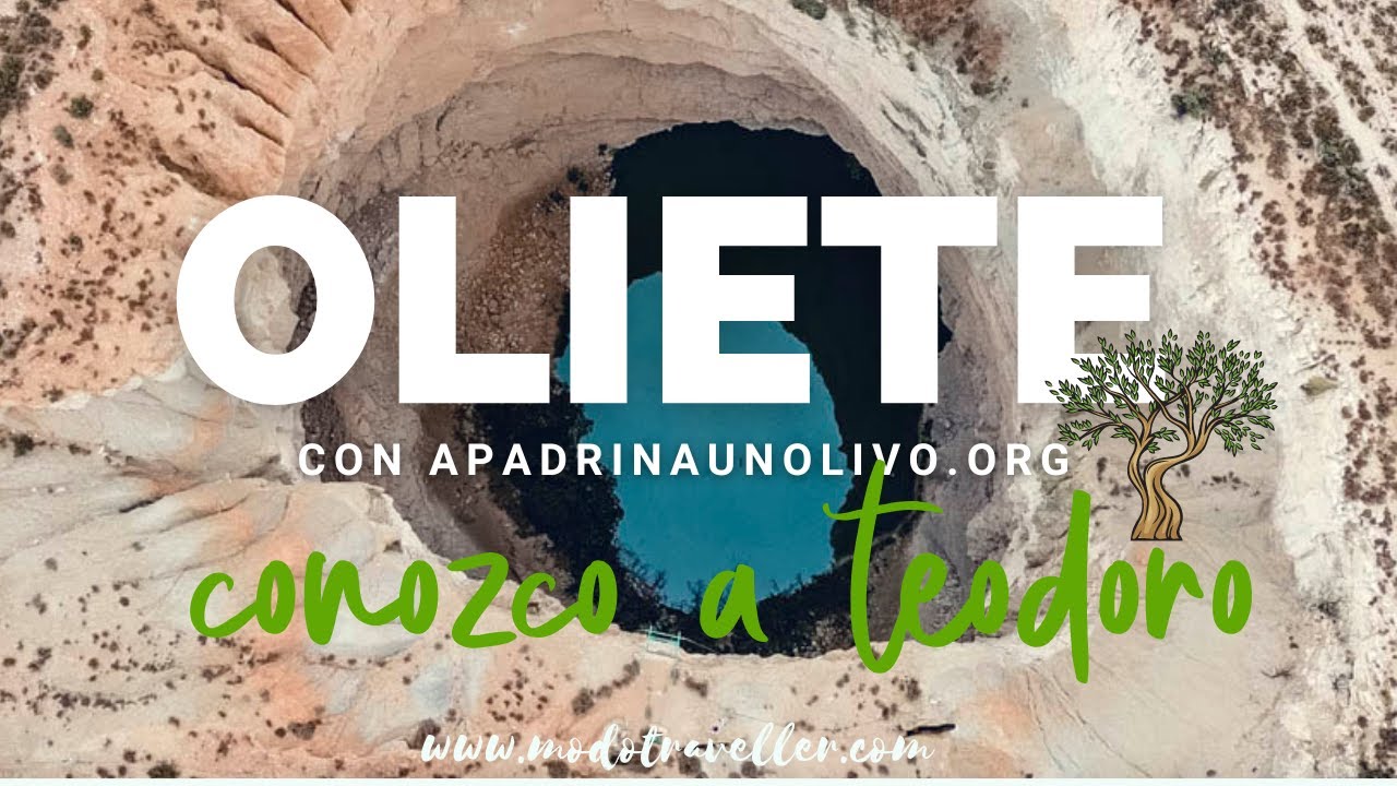 Conozco a Teodoro 🌳 mi olivo de Oliete - Proyecto Apadrina un Olivo - Modo Traveller