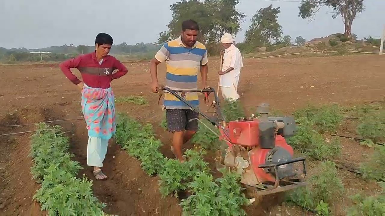 Bed making in banthi with 10hp diesel engine power weeder