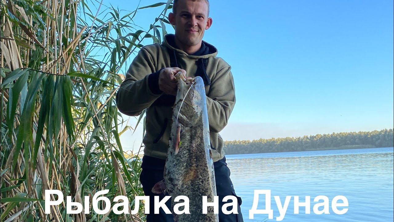 СОМ. ЖЕРЕХ. ТРИ ДНЯ НА РЕКЕ ДУНАЙ