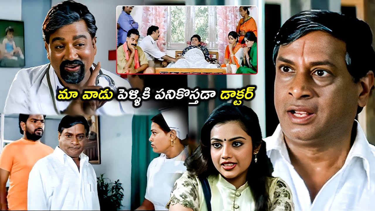 మా వాడు పెళ్ళికి పనికొస్తడా డాక్టర్..| MS Narayana And Ali , Ravi Teja Back To Back Comedy Scenes