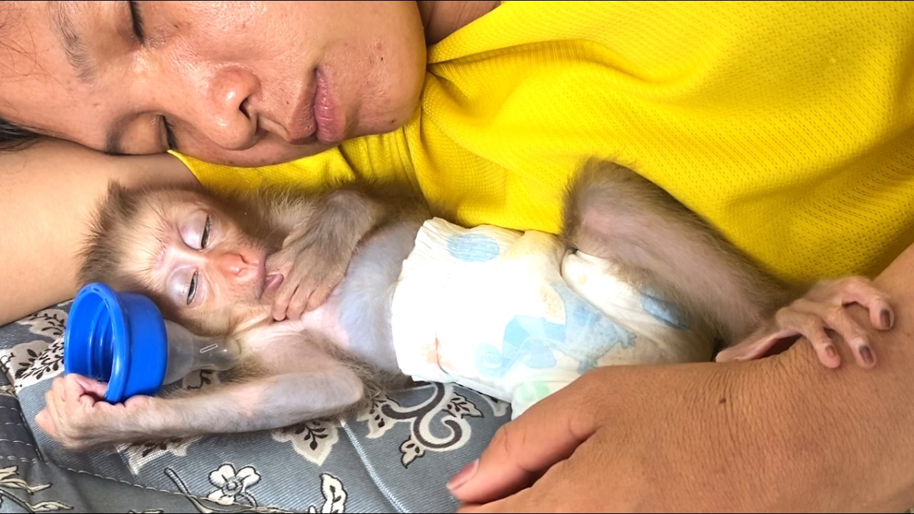 So sweet!! mom and her adorable  baby  LIORA sleep together when they get tired of playing