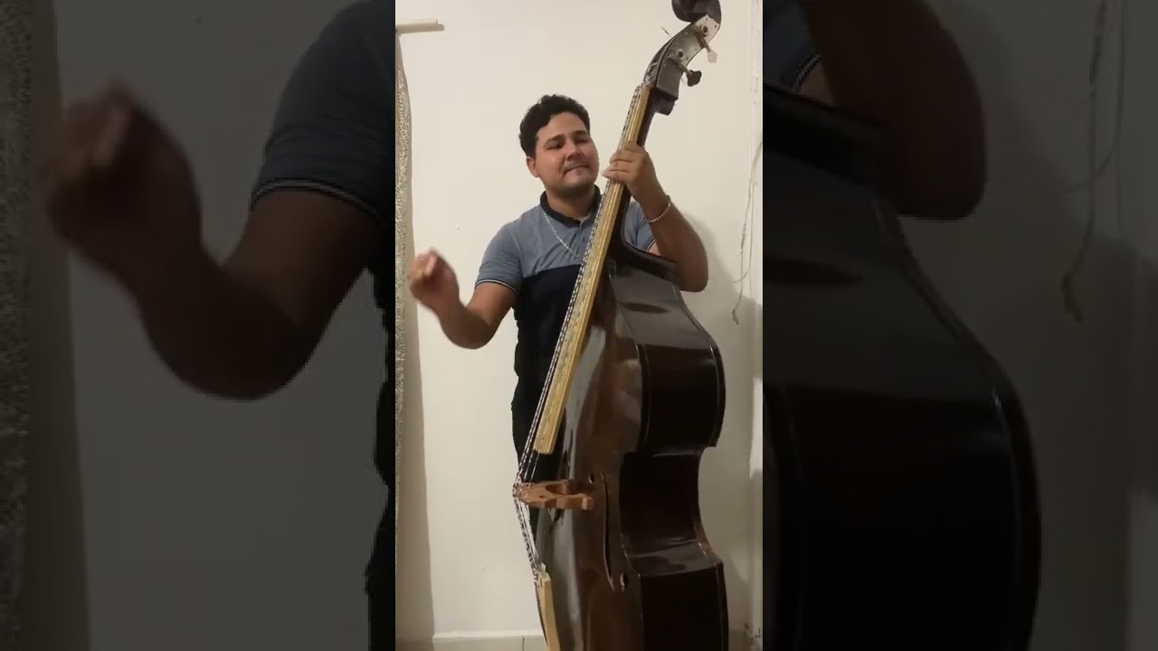 Arreglos de Tololoche (ritmo 3/4)