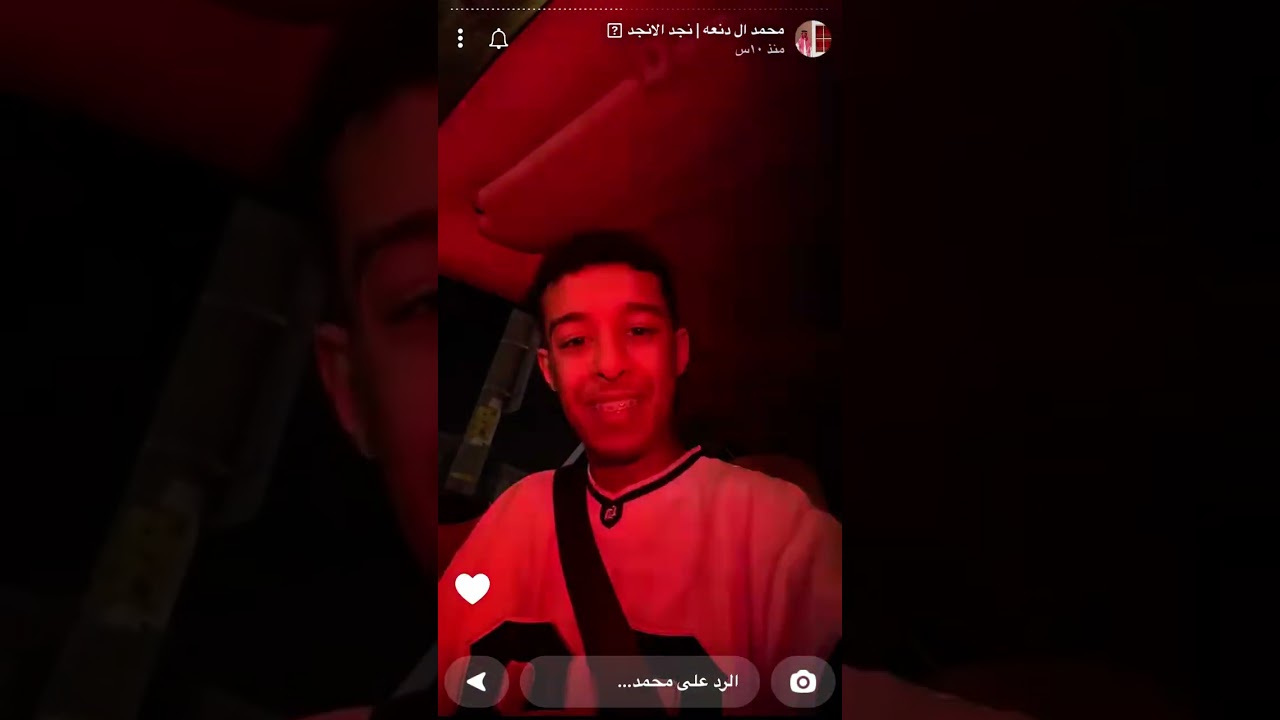 سنابات محمد ال دنعة