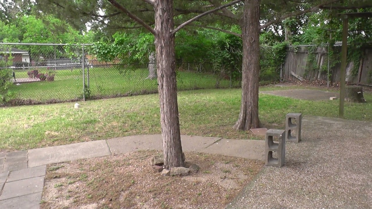 Panasonic Camcorder Test V201 and V520
