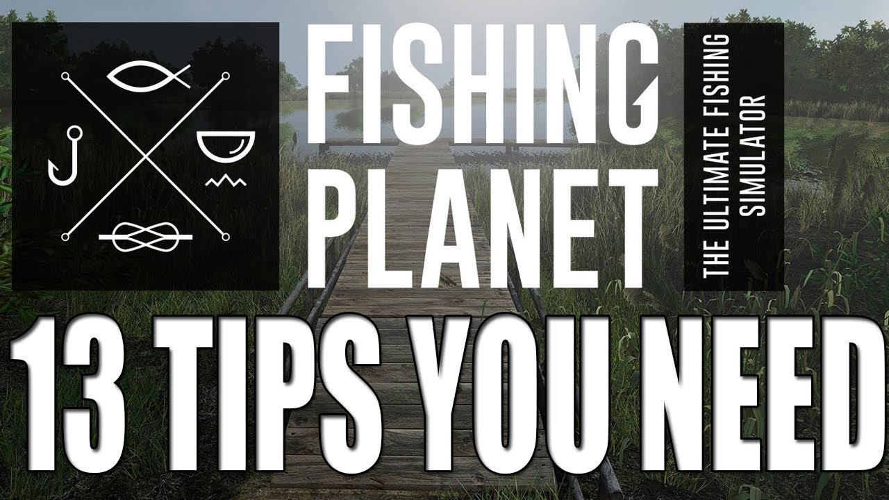 13 советов для начинающих рыболовов Fishing Planet, которые вам нужно знать