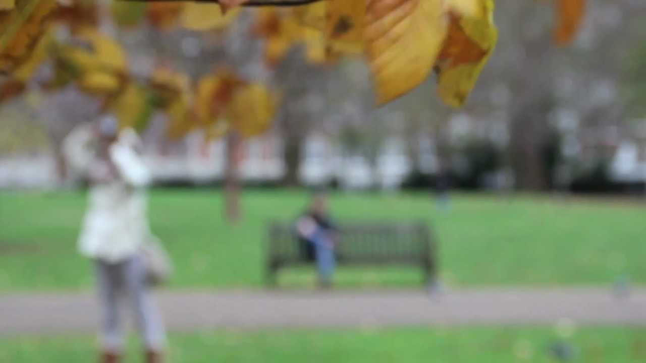 Canon 60D (50mm - 18/135mm) - @DuduStamM