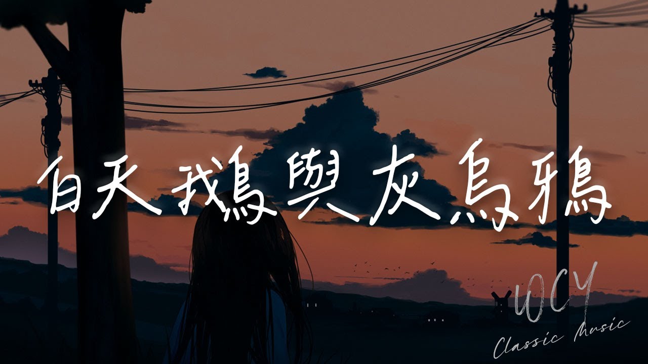 杨一琪 - 白天鹅与灰乌鸦「白天鹅就不该爱上乌鸦，枯萎的玫瑰比野草还廉价」【動態歌詞/Lyrics Video】#杨一琪 #白天鹅与灰乌鸦 #動態歌詞