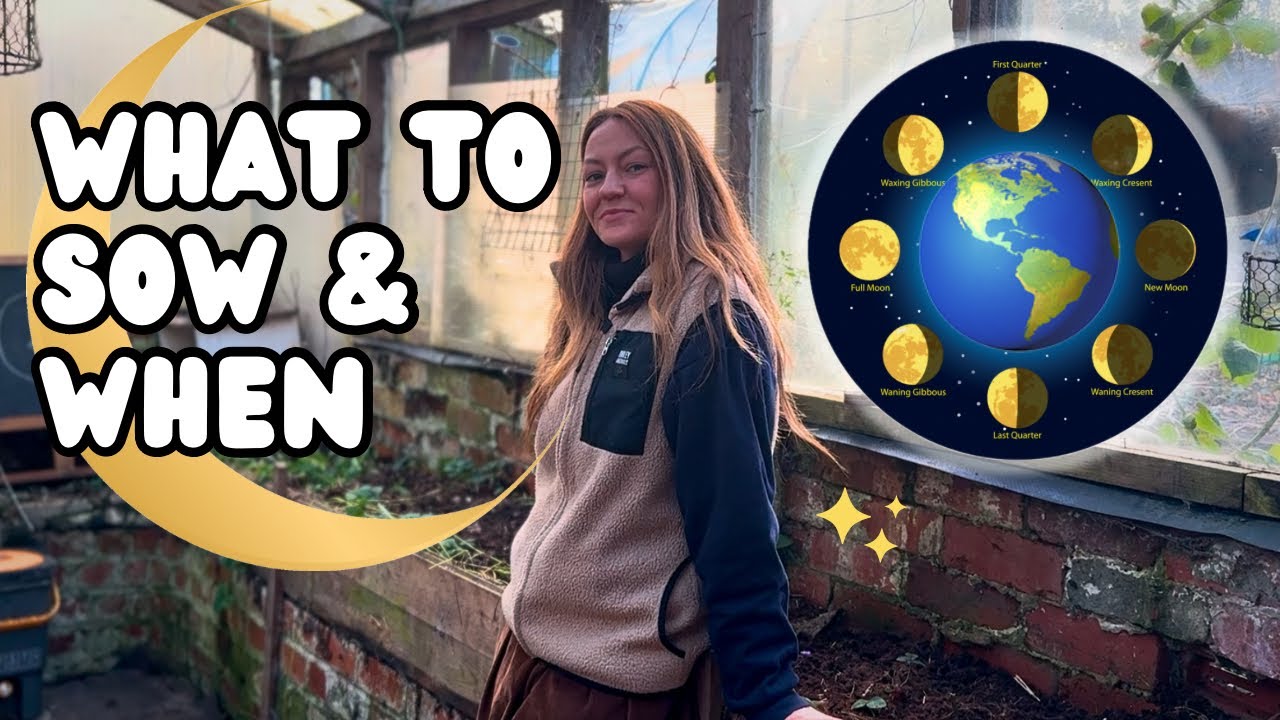 A Beginners Guide to Biodynamic Gardening in February