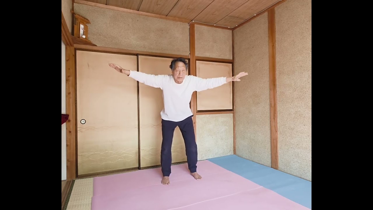 大雁功／抓気（ツアチー）から背翅（ペイツ）まで