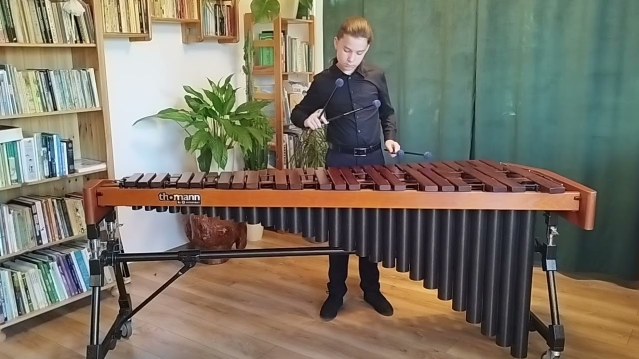 Alice Gomez: Marimba Flamenca - Jan Tomczyk: Marimba