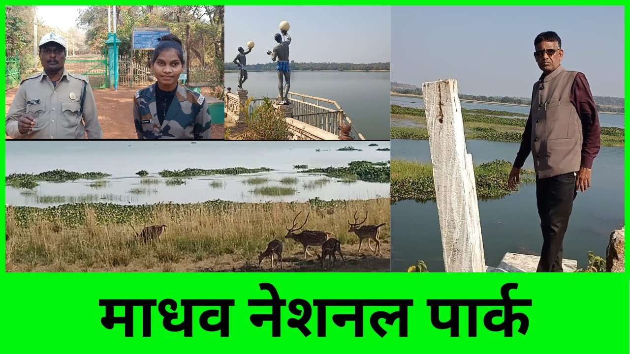 माधव नेशनल पार्क शिवपुरी म.प्र. || Madhav National Park Shivpuri M.P. || Vlog #66