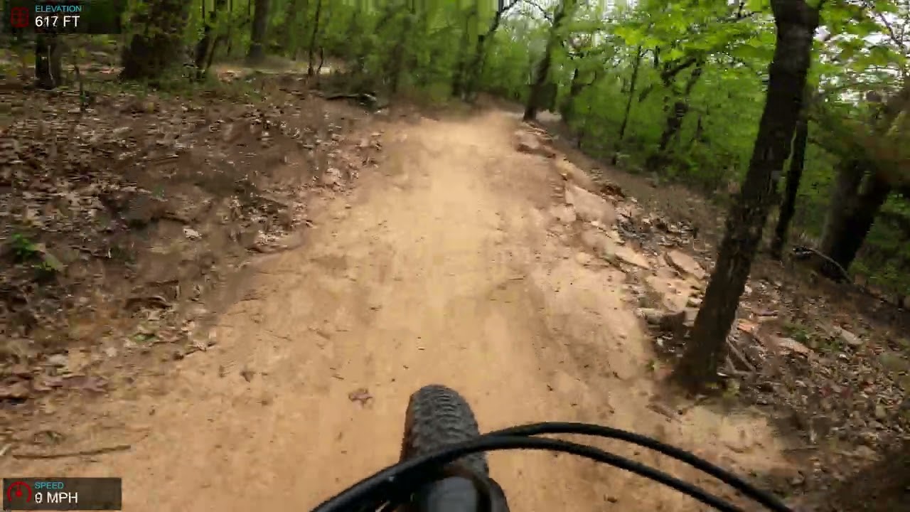 Turkey Mtn  - New Green Trail