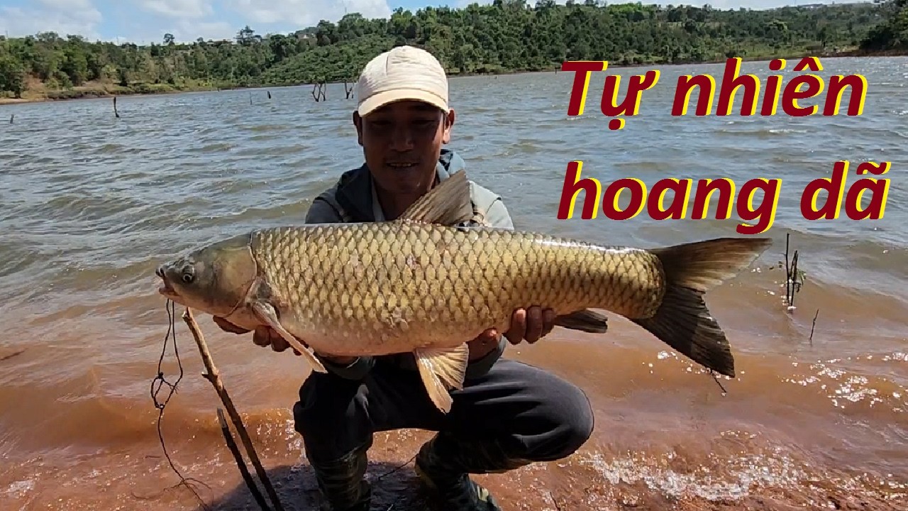 Thu phục cá lớn...Khám phá điểm câu mới mùa khô, gió mạnh và cái kết | 11- 3 - 2026