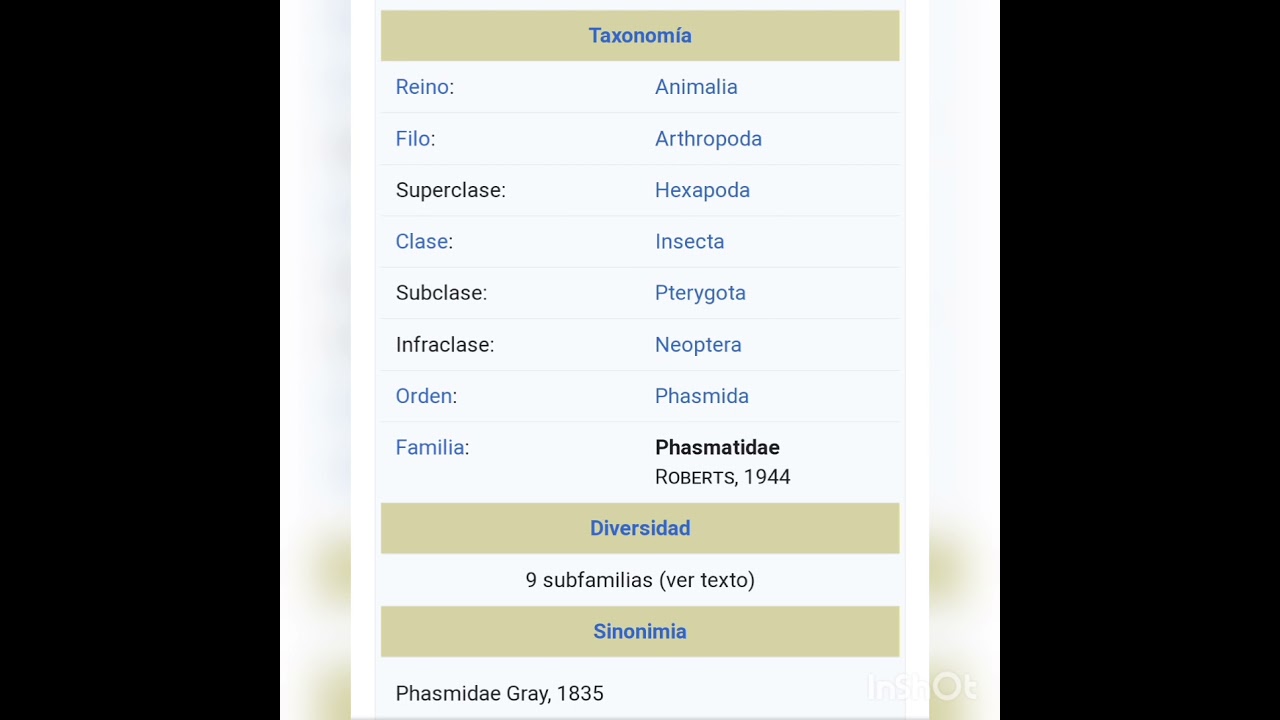 Insecto palo (fasmatodeos)