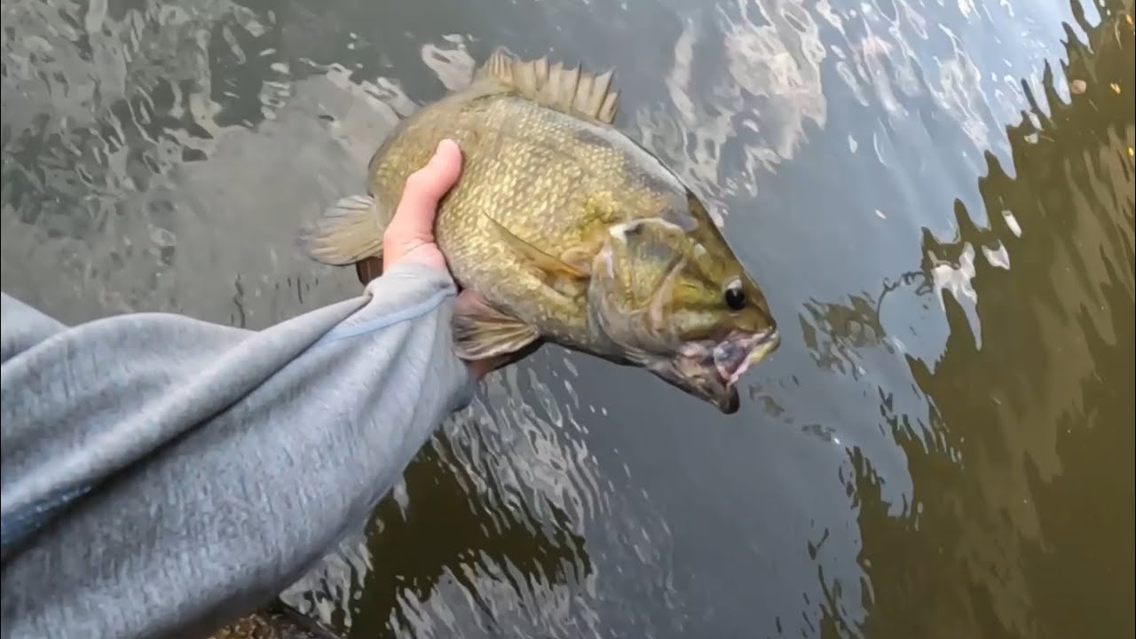 Fall Fox River Fishing
