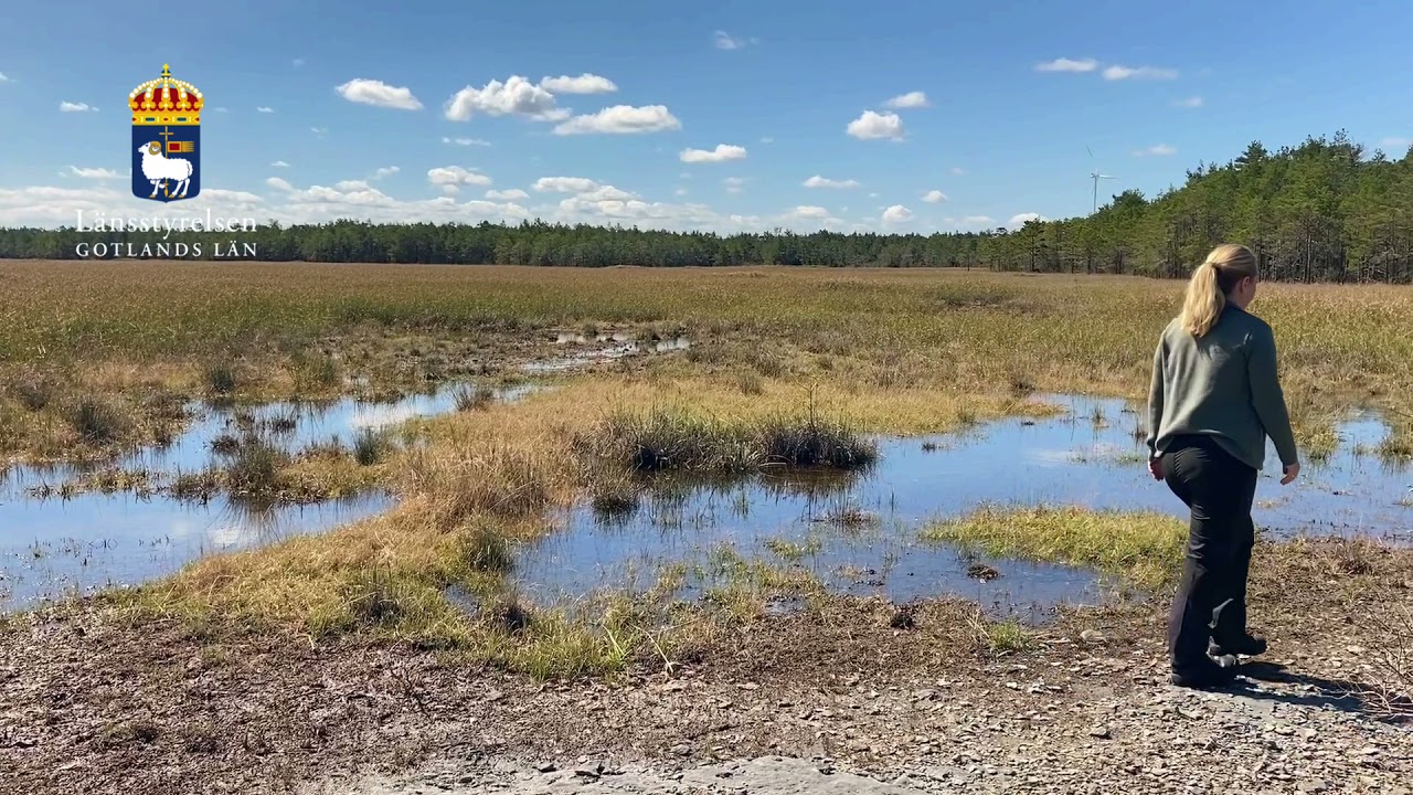 En guidning runt Bästeträsk