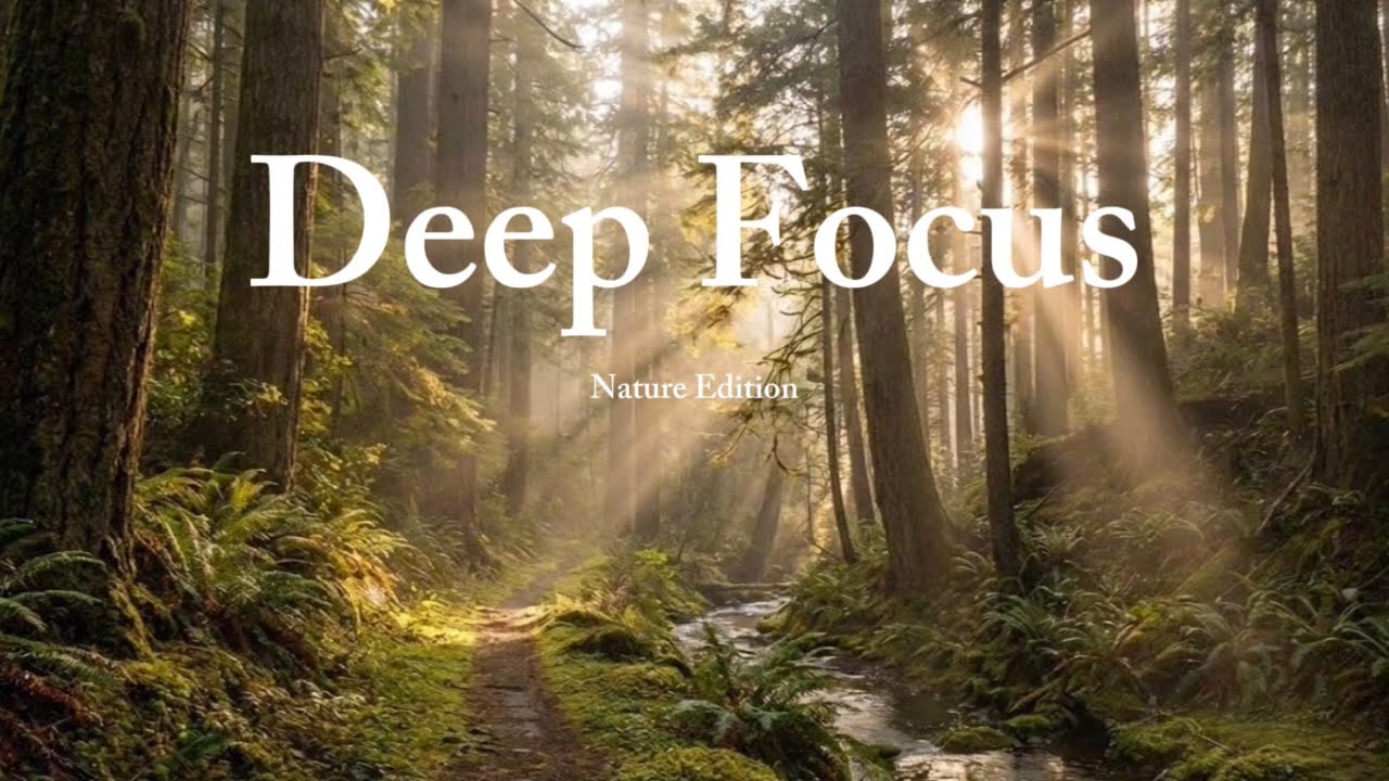 Deep Focus / Forest Morning Calm / Nature Edition