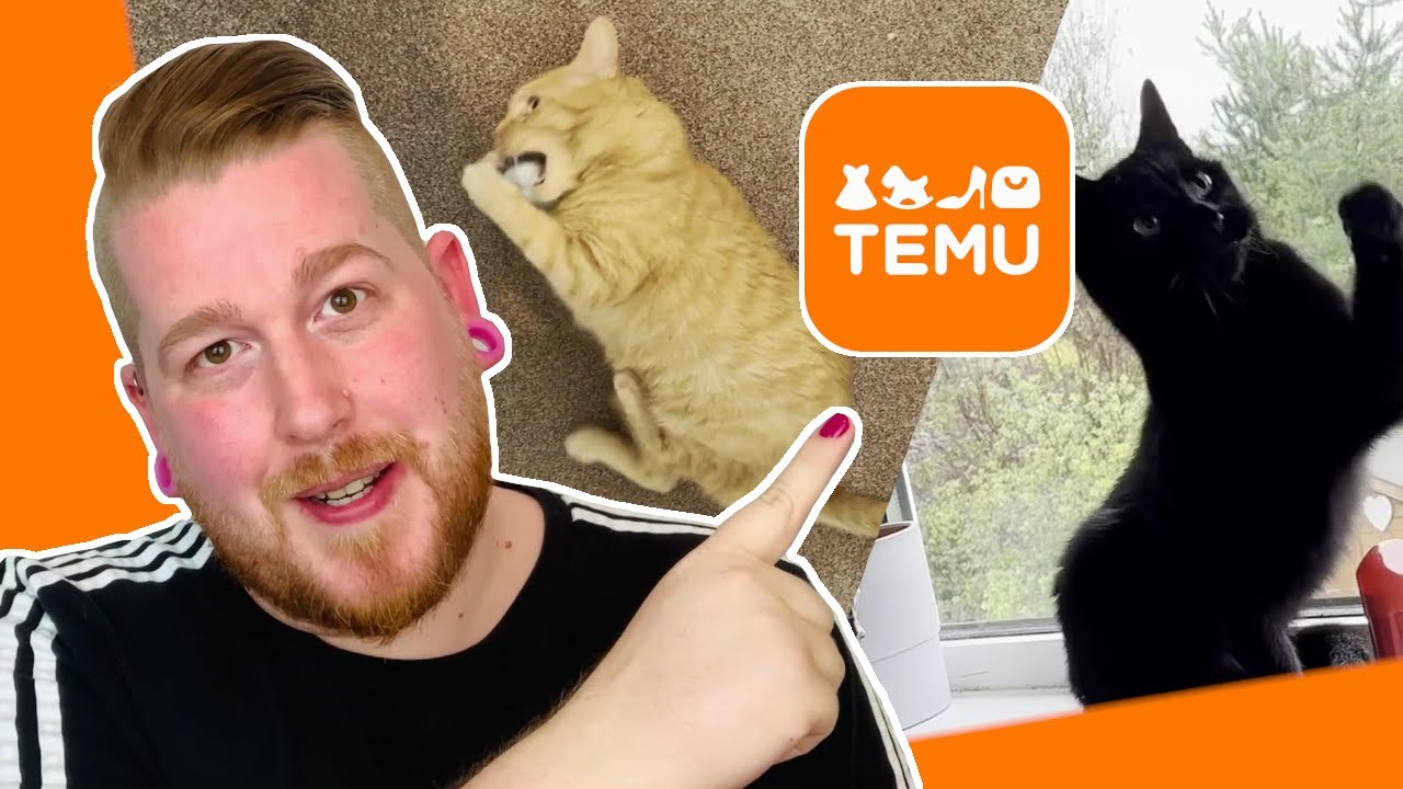 Treating My Cats on a Budget with Temu! | Budget with Ira