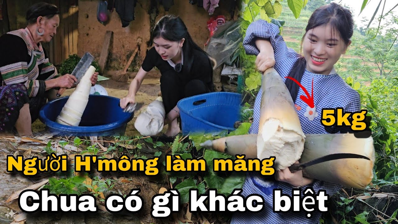 Mùa Măng Ngọt Lại Đến, Em Mỷ Giúp Bà Ngâm Măng Chua Làm Một Lần Ăn Cả Năm Không Hết | Em Mỷ TV