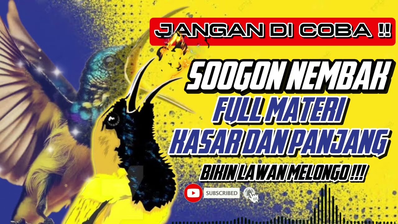 SUPER JERNIH‼️ MASTERAN SOGON | FULL MATERI KASAR DAN PANJANG!!! #sogon #sogongacor #sogokontong