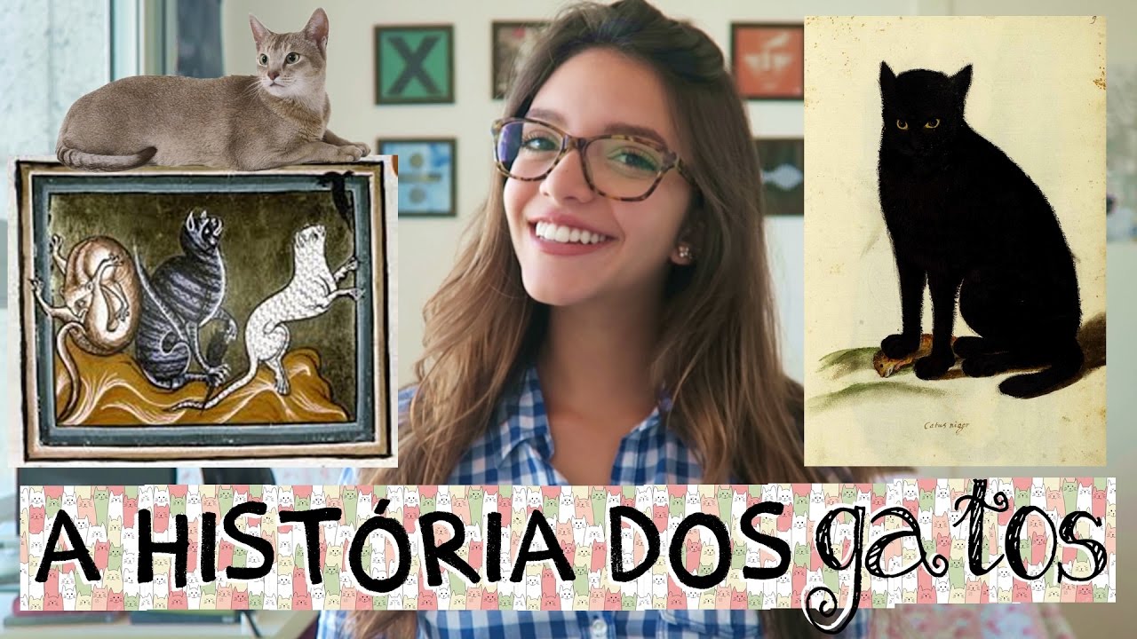 A HISTÓRIA DOS GATOS - Débora Aladim