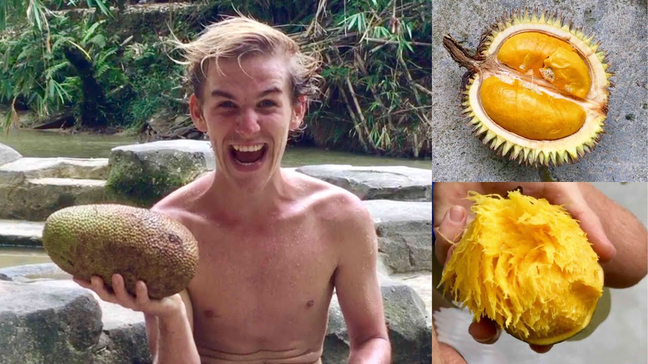 Taste-testing jungle fruits at BORNEO WATERFALLS : horse mango, bambangan, lukak & cempedak