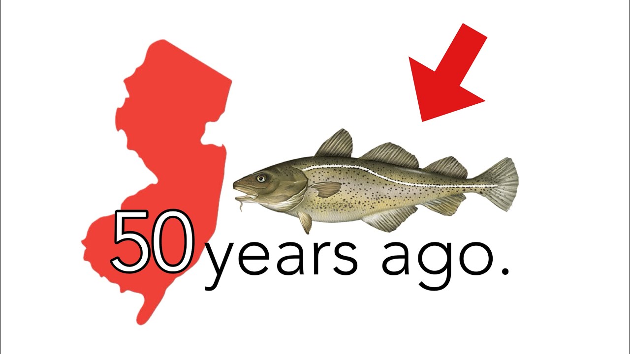 What was Fishing Like in NJ 50 Years Ago?