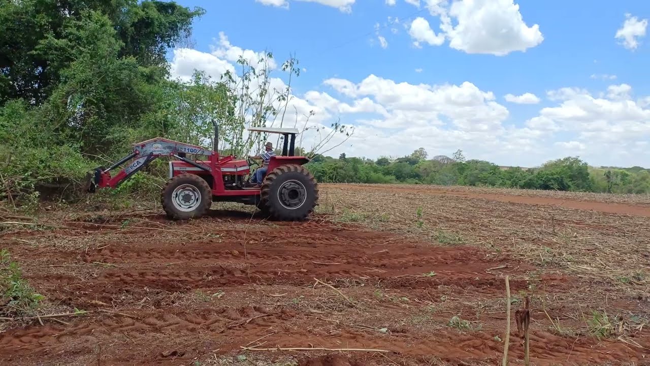 Massey Ferguson 299
